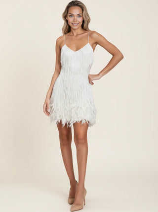 Women's Fringe Cocktail Mini Dress