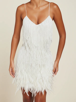 Women's Fringe Cocktail Mini Dress