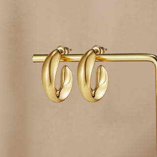 Twisted Sarah Hoop Earrings