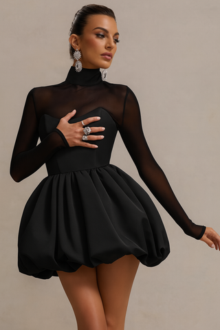 Women's Long Sleeve A-Line Mini Dress